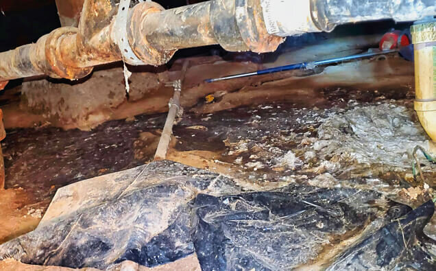 https://plumberyangebup.com.au/uploads/2025/06/plumbing-73706.jpg